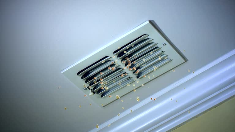 Best Best Air Duct Cleaning Company  in Georgiana, AL