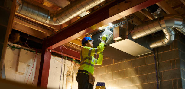 Air Duct Mold Removal in Georgiana, AL