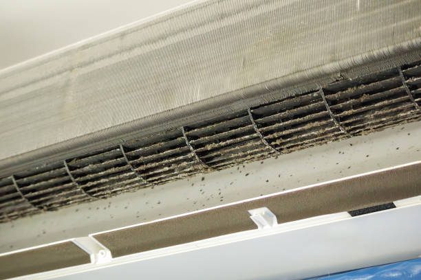 Best HVAC Duct Inspection Services  in Georgiana, AL